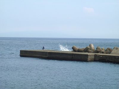 P9060206