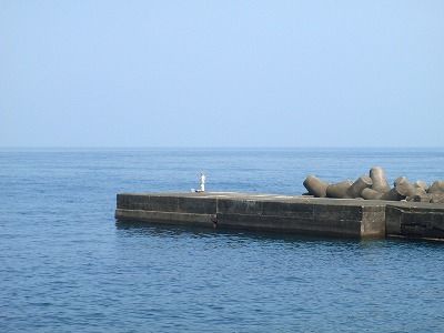 P7290119