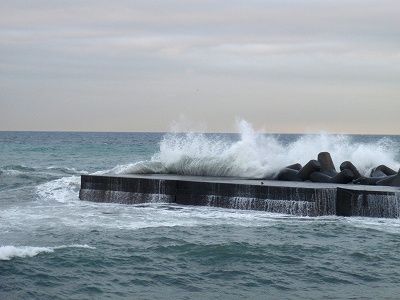 PA010083