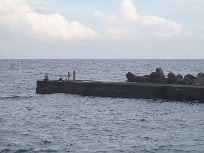 PB060208