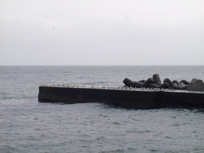 P3200103