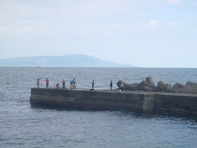 P4290149