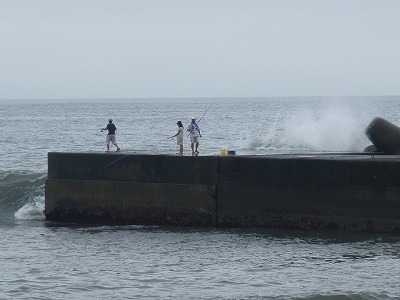 P8050340