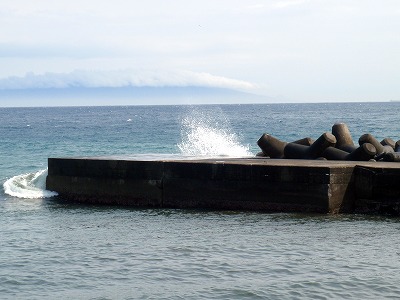 P3160060