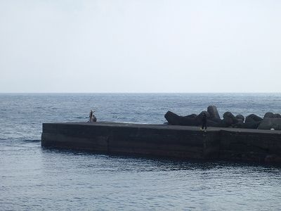 P3180102