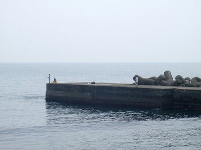 P6090089