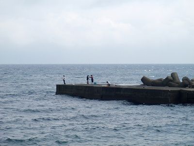 PA010110