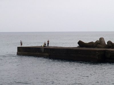 P8020238