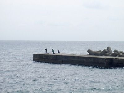 P5010082