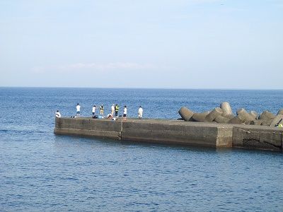 P8280206