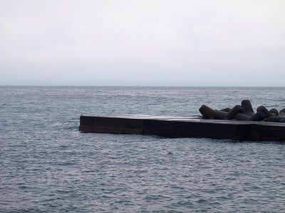 PC010113