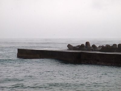 P1240253