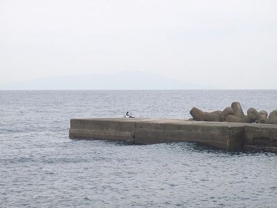 PA310121