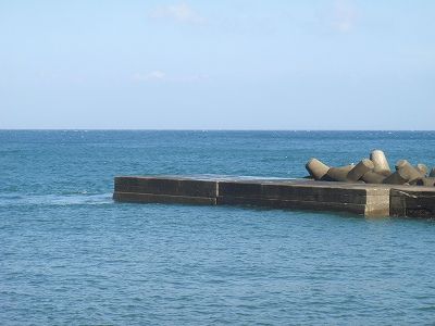 P9050206