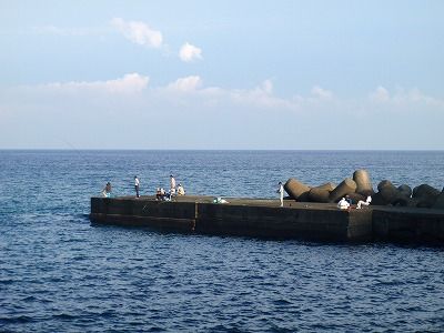 PA060261