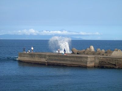 P7190207