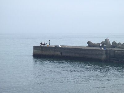 P7240231