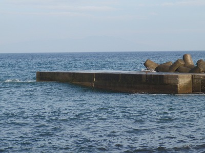 P9070038