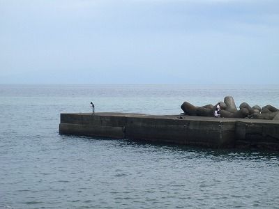 P9030262