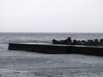 P3310253