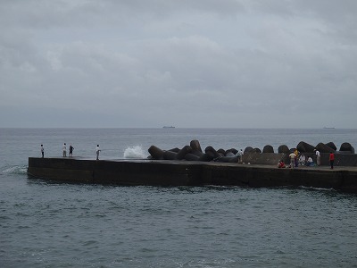 P8090338