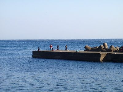P1010106