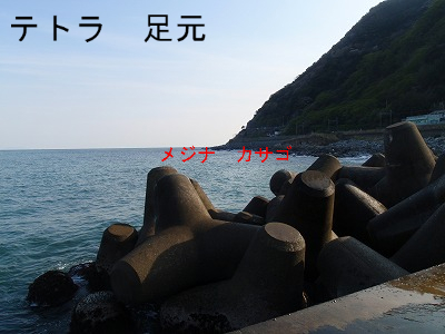 BlogPaint