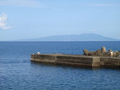 P5050224