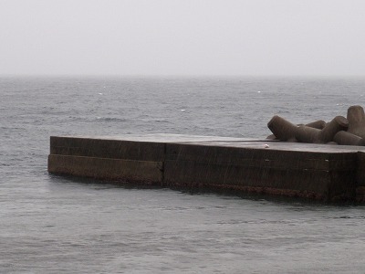 P7290005