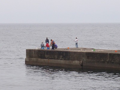 P6030304