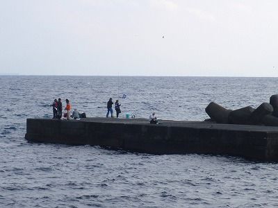 P1020252