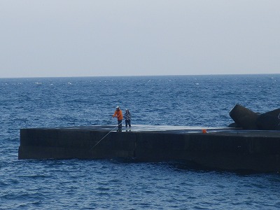 PB070040