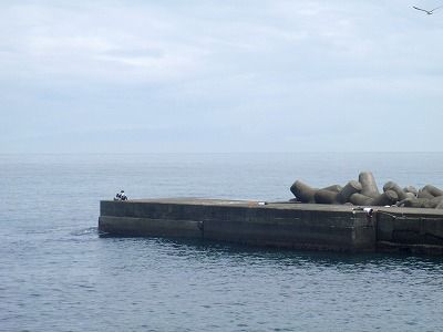 P6150083
