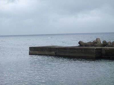 P7050083