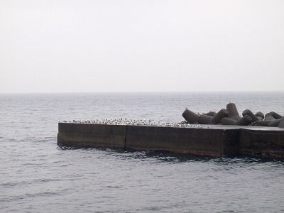 P2150061