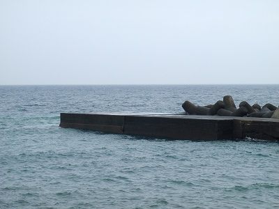P9030206