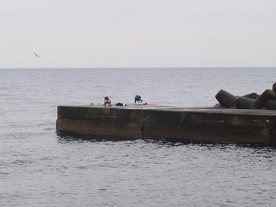 P3030060