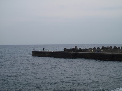 P4050299