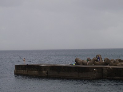 P7080319