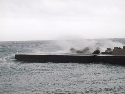 P9040206