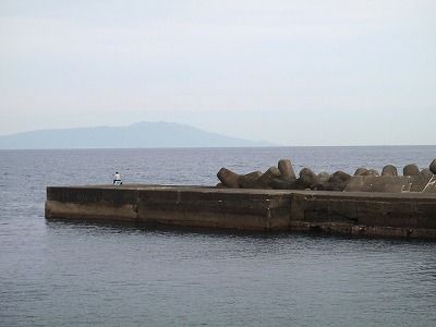 P4220245