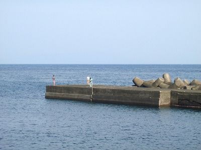 P9040119