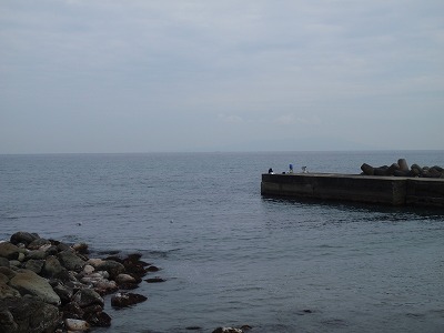 P3310290