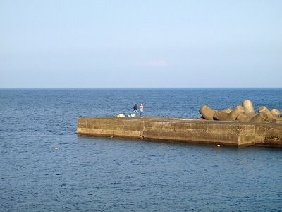 P8030119