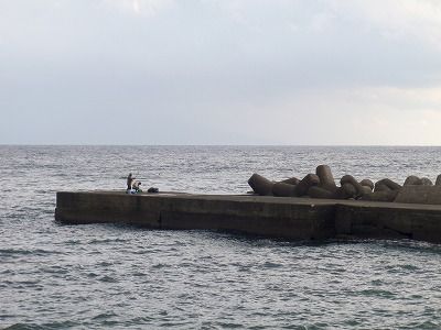 PC010272