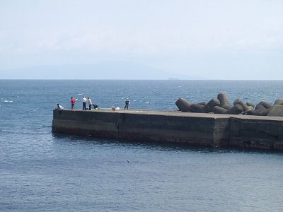 P4010208