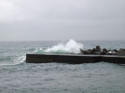 PA050246