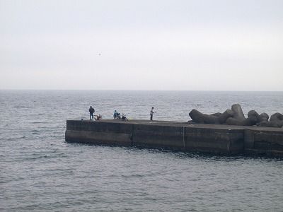 P7050149