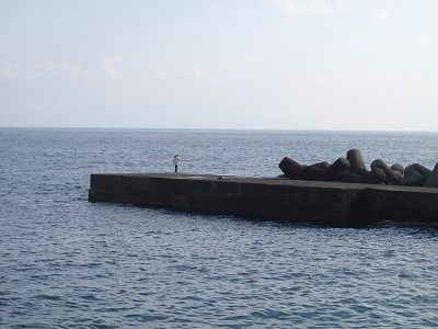 PC290254