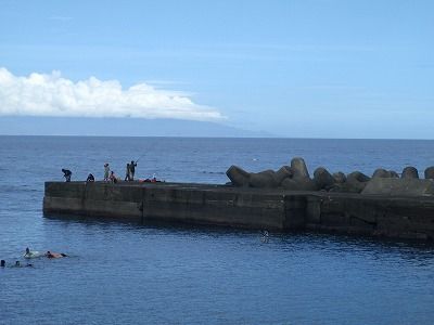 P8150254